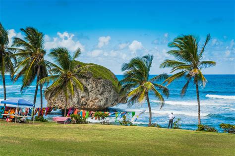 Cheap flights to Barbados in February & March 2024. The below flights offer some of the lowest fares to Barbados in February and March 2024. If these prices don't match your …